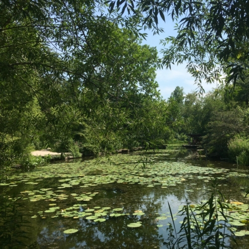 Alfred Caldwell Lily Pool