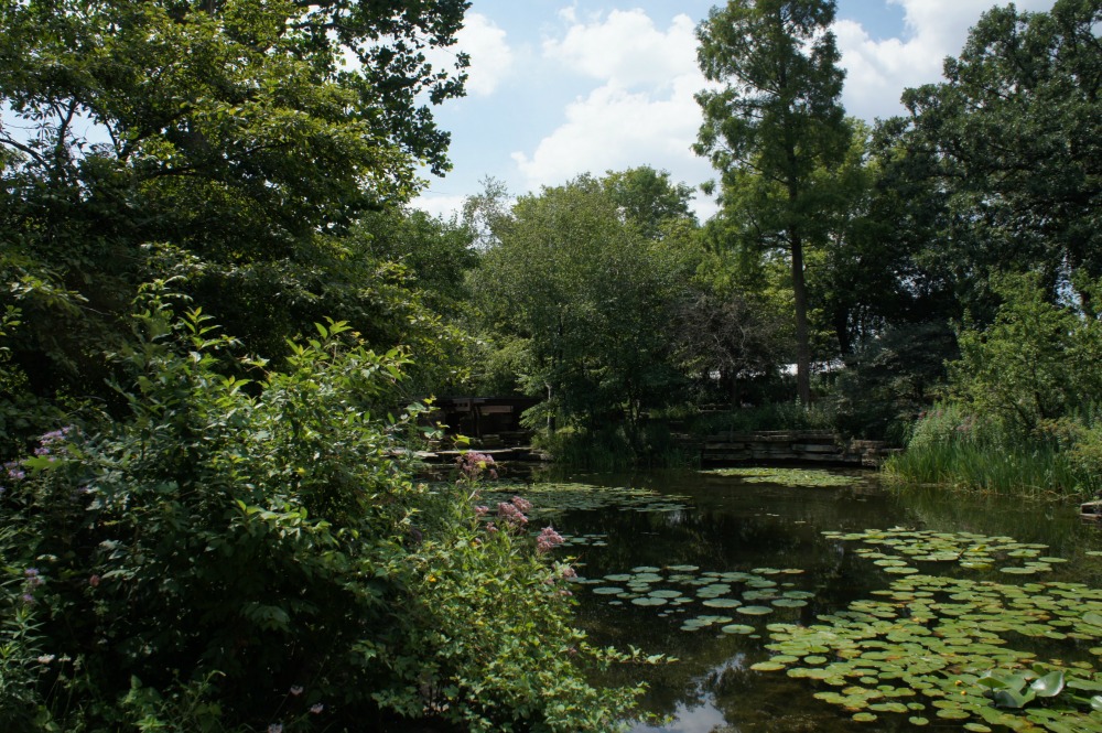 Alfred Caldwell Lily Pool